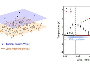 Physicists report emergence of ferromagnetism at the start of Kondo breakdown in moiré bilayer networks