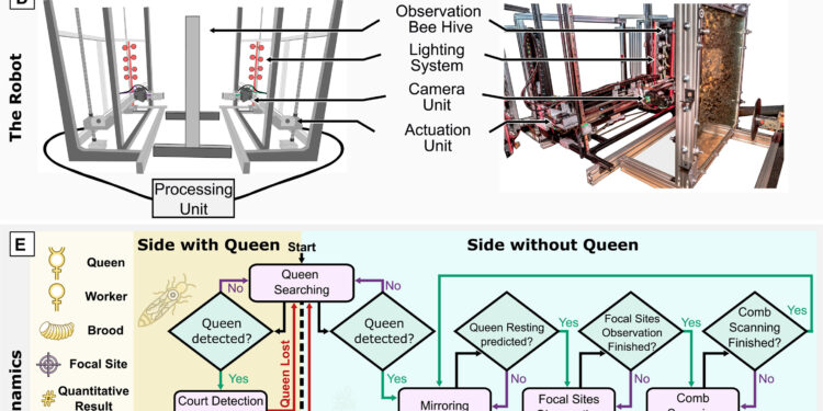 Pioneering robotic system enables 24/7 monitoring of bee behavior