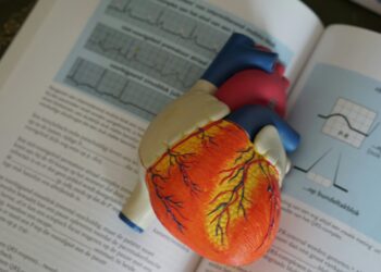 Potential therapeutic target for cardiac arrhythmias found in SK2 channels