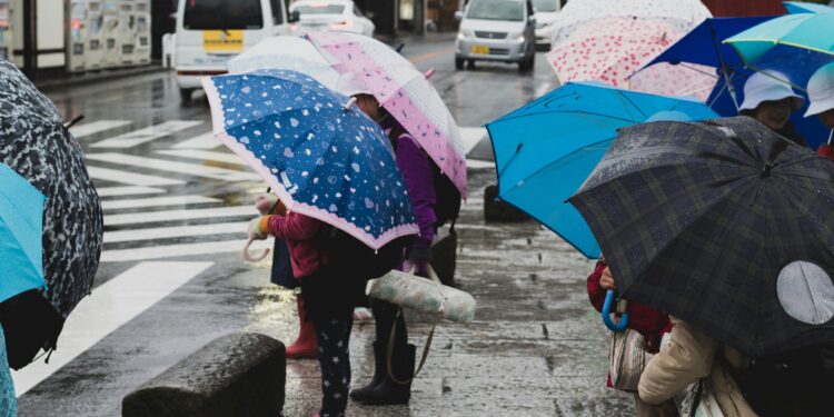 Psychology research offers details on how