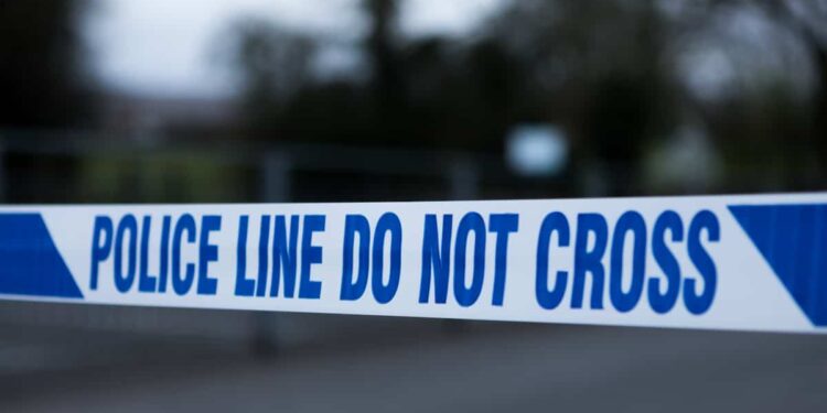 Quintuple murder: teenager accused of killing his entire family, one of his sisters survives