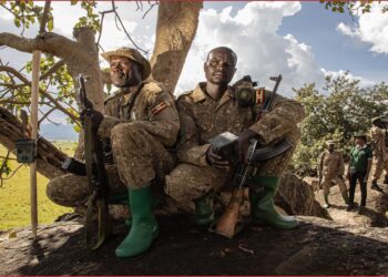 Rangers lead efforts to monitor Uganda’s lion population in critical stronghold