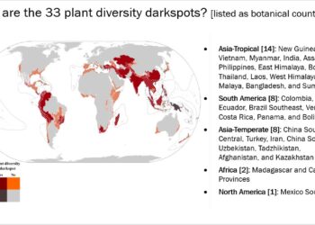 Research highlights ‘black spots’ in global plant diversity where scientific efforts are urgently needed