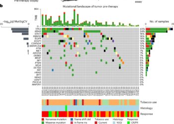 Researchers create first large-scale atlas of how immune cells respond to mutations during cancer immunotherapy