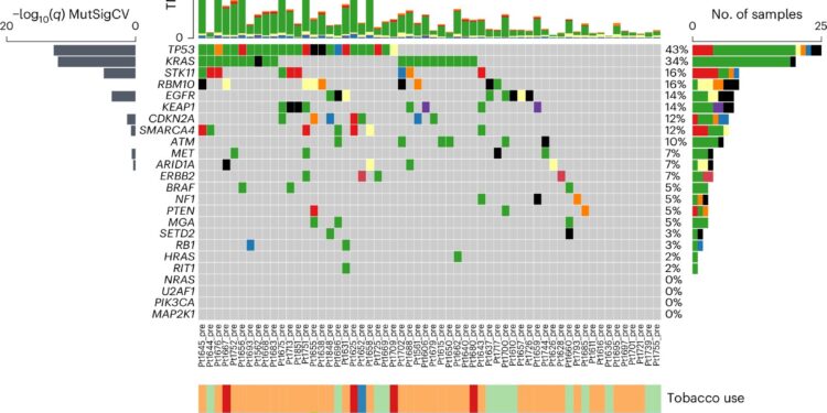 Researchers create first large-scale atlas of how immune cells respond to mutations during cancer immunotherapy