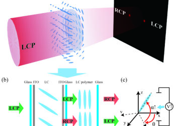 Researchers leverage liquid crystal structures to design simple yet versatile bifocal lenses