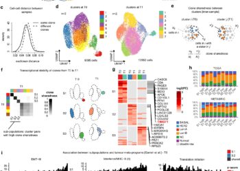 Researchers show that the evolution of tumors is written in the genome