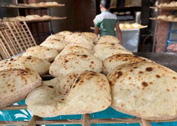 Reuters: Egypt plans to significantly reduce wheat imports economy