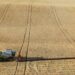 Reuters: Morocco imports more wheat from Russia than France this year economy