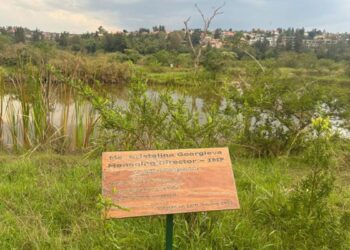 Rwanda…an African model for a green economy | economy