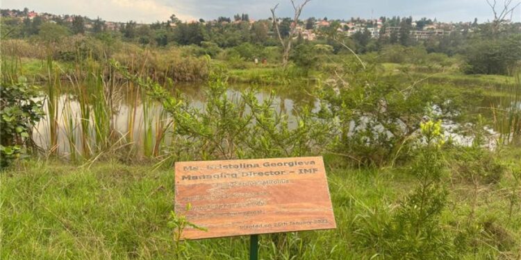 Rwanda…an African model for a green economy | economy