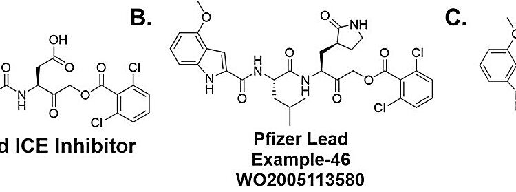 Scientists discover new series of SARS-CoV-2 Mpro inhibitors for potential new treatments against COVID-19