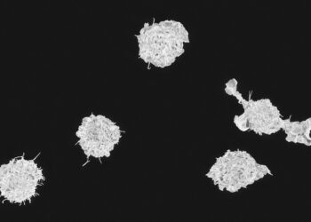 Scientists discover special immune cells stop metastatic cancer