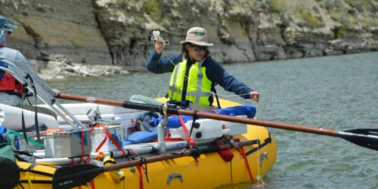 Selenium isotopes are a good indicator of cleaning efforts