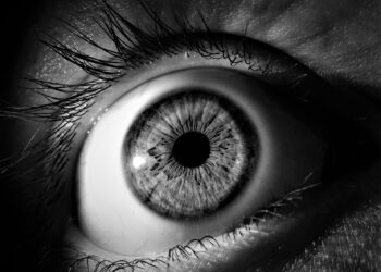 Stem cell transplants repair macular holes in primate study