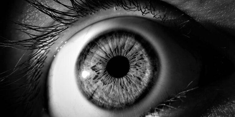 Stem cell transplants repair macular holes in primate study