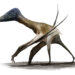 Study determines when and how pterosaurs evolved from tiny tree climbers to towering land titans