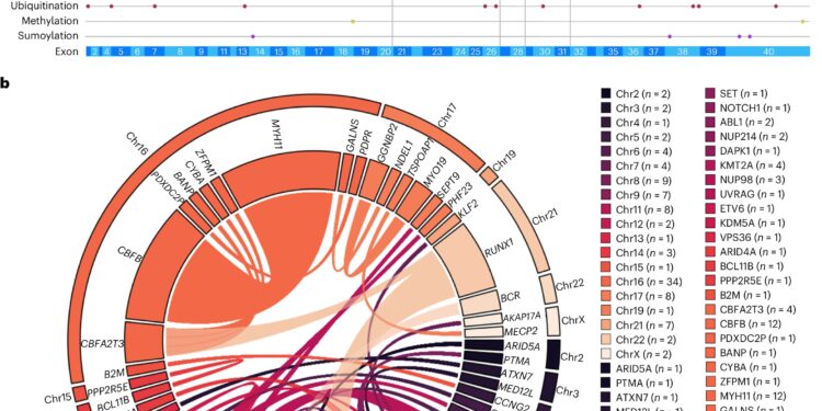 Study identifies genetic factors crucial in acute myeloid leukemia survival in black patients