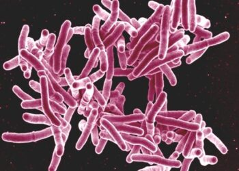 Study identifies potential new drug to treat tuberculosis