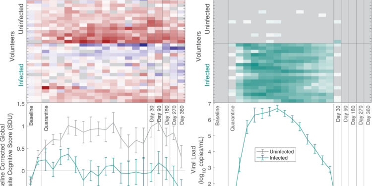 Study of COVID-19 human challenge highlights small changes in memory and cognition