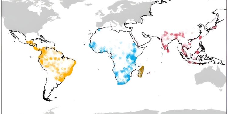 Study of global primate populations reveals predictors of extinction risk