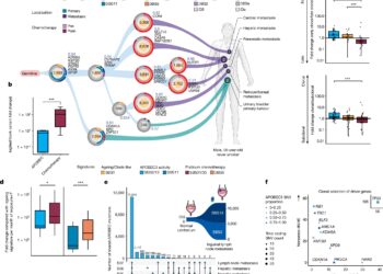 Study reveals DNA mutations and structures that cause bladder cancer