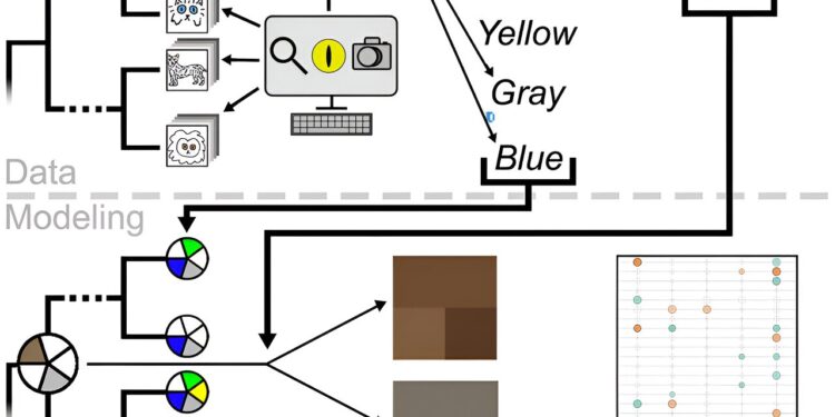 Study traces wild cat eye color diversity to ancient ancestor