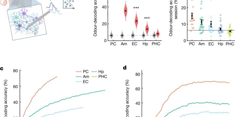 Studying the neural mechanisms of human odor perception