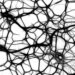 Targeting hippocampal neurons to unlock existing Alzheimer’s drugs