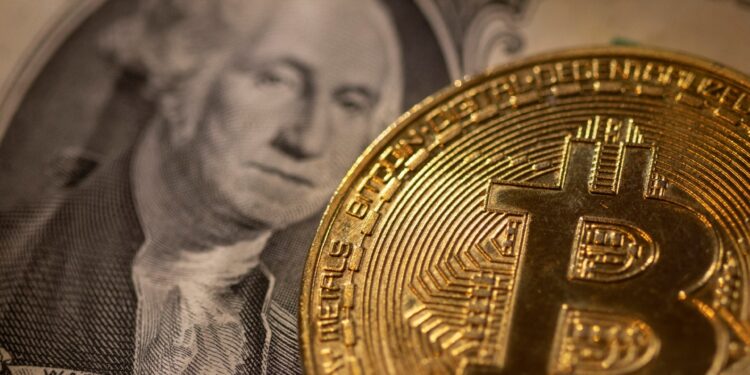 The dollar and Bitcoin rise amid the likelihood of Trump winning the US elections economy