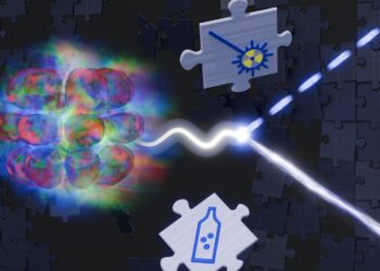 The neutron lifetime problem and its possible solution