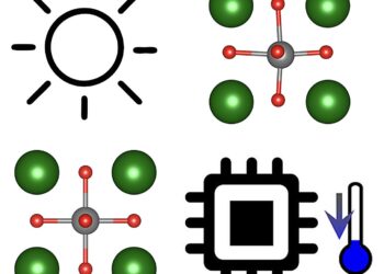 Theoretical study demonstrates the existence of giant photocaloric effects in ferroelectric perovskites