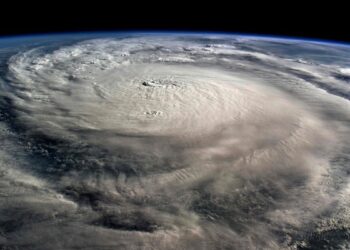 “There are companies that are going to go bankrupt”: Hurricane “Milton” could cost insurance companies dearly