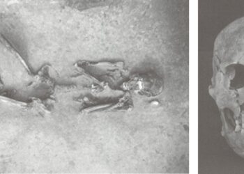 Traces of ancient immigration patterns to Japan discovered in 2,000-year-old genome