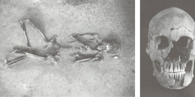 Traces of ancient immigration patterns to Japan discovered in 2,000-year-old genome