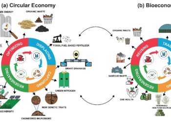 Transition to a circular bioeconomy requires correct prices, study finds