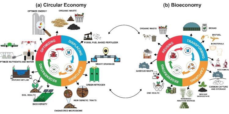 Transition to a circular bioeconomy requires correct prices, study finds