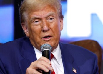 Trump accused of assaulting model he met through Epstein