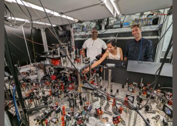 Two-species atomic lattices show promise for quantum error correction