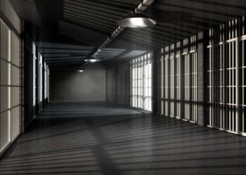 US Department of Justice denounces ‘inhumane’ detention conditions in Georgia