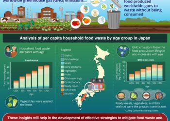 Understanding the relationship between food waste, climate change and population aging