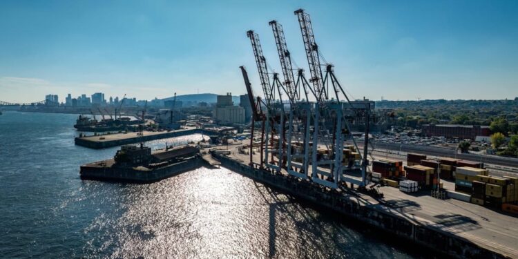 United States: nearly 40 ports blocked by a longshoremen’s strike a month before the presidential election