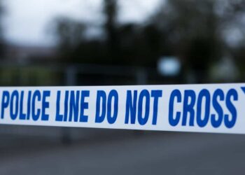 United States: seven dead in the collapse of a footbridge on a quay in Georgia