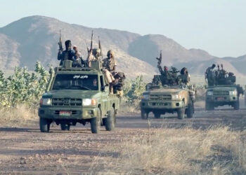 What are the effects of the “Rapid Support” decision to stop Sudan’s exports to Egypt? | Economy News