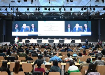 Biden praises the COP29 climate agreement, and the African Group criticizes it news