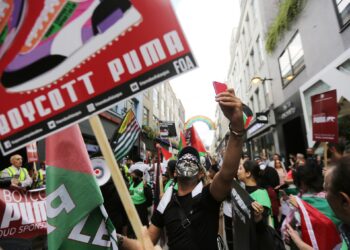 Boycott movement: Puma ends its contract with the Israeli Football Association | economy
