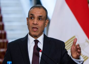 Foreign Minister: The escalation in the Red Sea caused severe damage to the Egyptian economy economy