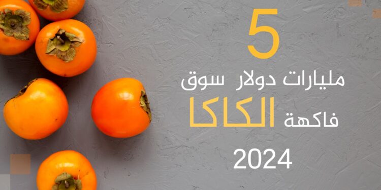 Golden winter fruit.. The top 10 countries that produce and export “cocoa” in the world | economy