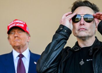 Is Elon Musk a “trump card” in Trump’s relationship with China? | economy