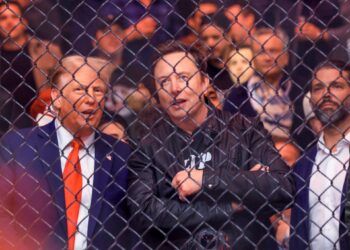 Musk promises to reduce US government spending by $2 trillion economy